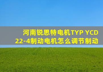 河南锐思特电机TYP YCD22-4制动电机怎么调节制动